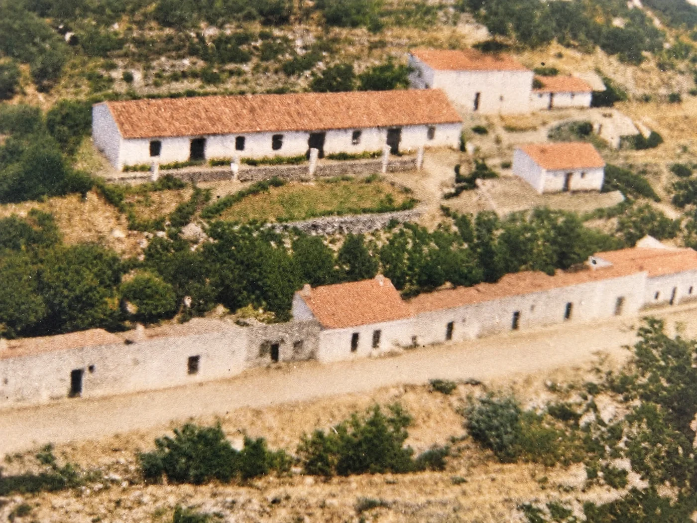 Fotografía antigua: casas blancas de tejado de teja en la ladera, junto a un camino de tierra.